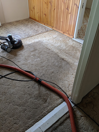 Tru Blue Carpet Cleaning & Pest Control